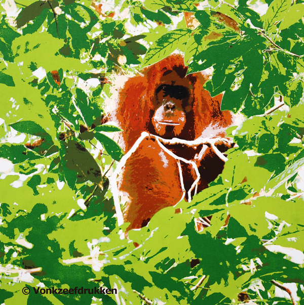 Zeefdruk: Orang Oetan