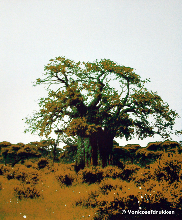Zeefdruk: Baobab