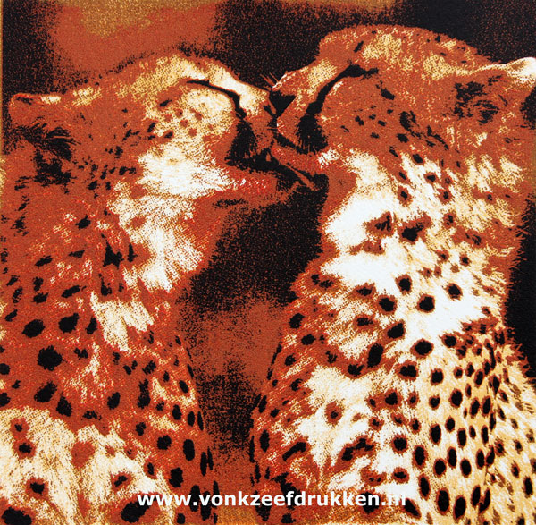 Zeefdruk: Golden Cheetahs